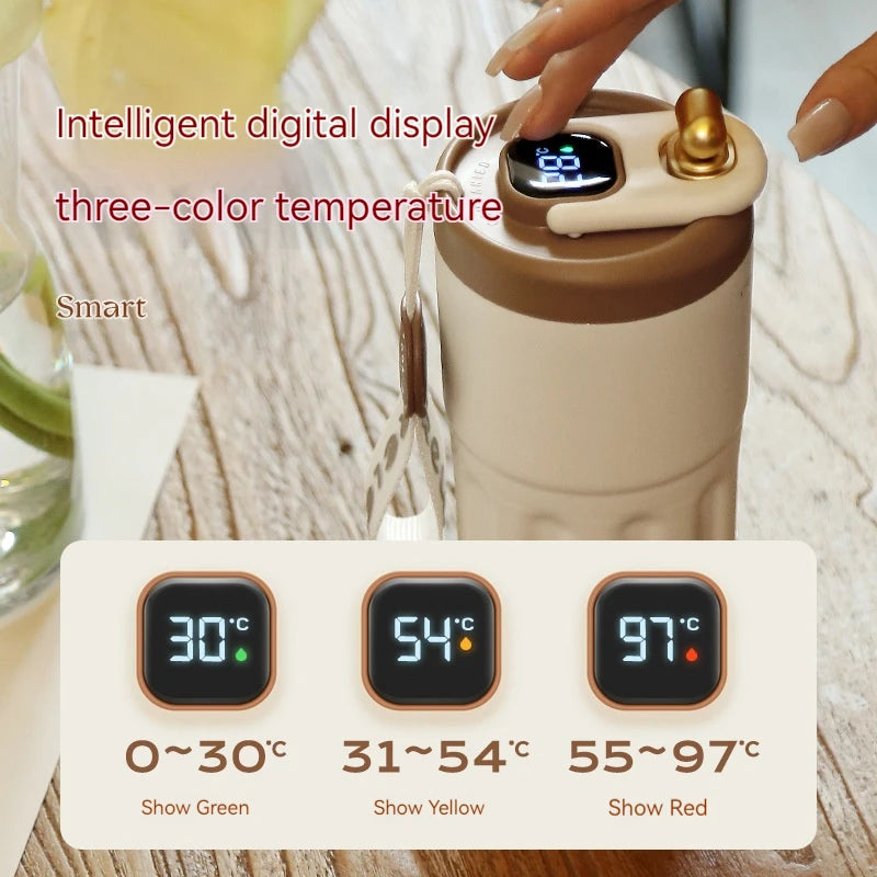 450ml Thermos Water Bottle — LED Temperature Display, Stainless Steel Travel Mug