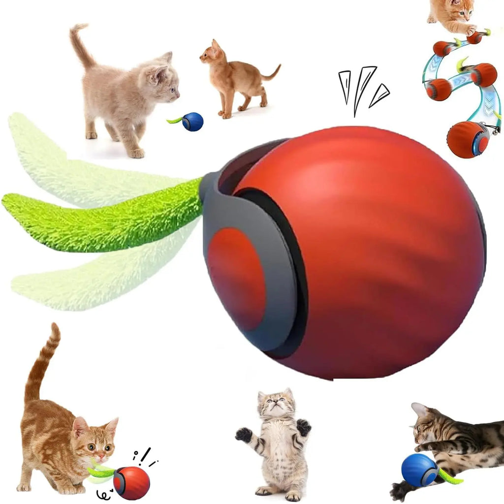 NewSpeedy Tail 2.0 Cat Toy, Speedy Tail Cat Toy, Interactive Cat Ball Toy, Smart Cat Toys Ball, Two Speed Adjustment, with Tail 